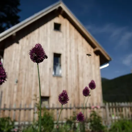 Dom Pod Lipami * Blatnica