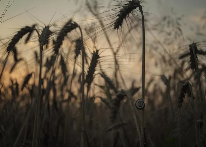 Dom Pod Lipami Blatnica