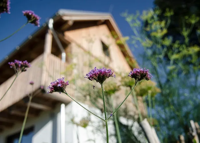 Ubytovanie v rodine Dom Pod Lipami *