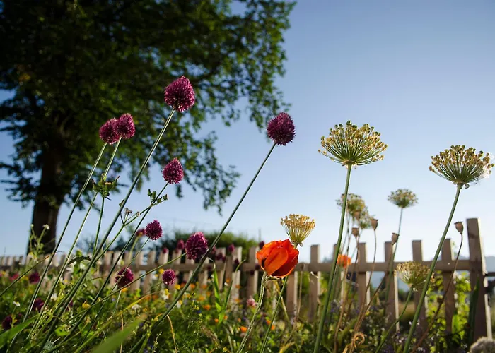 Ubytovanie v rodine Dom Pod Lipami