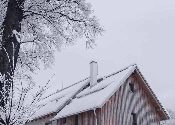 홈스테이 Dom Pod Lipami *