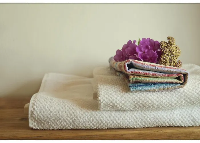 홈스테이 Dom Pod Lipami